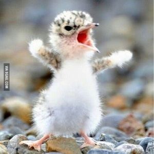 Meet your Posher, Breanne